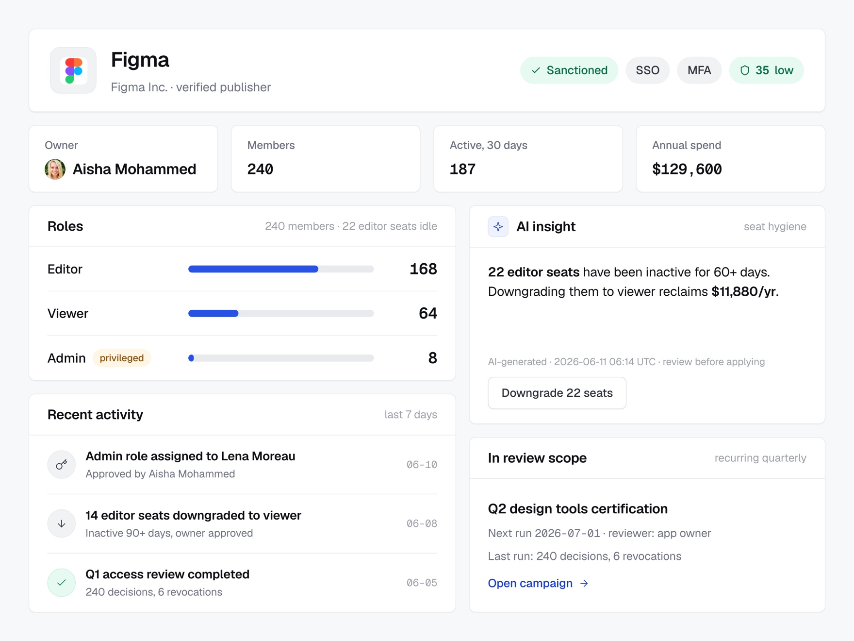 Governed app detail with owner, roles, and activity